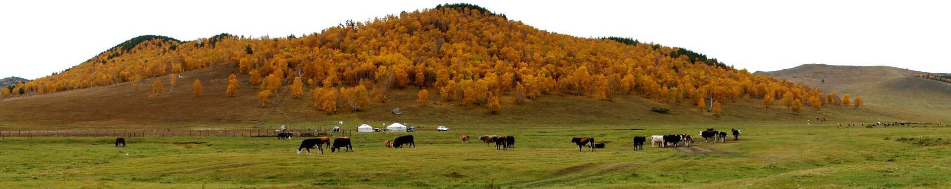 World Bank Photo Collection Landscape in Bayanchandmani soum (district), Tuv aimag (province), Mongolia. Photo: Khasar Sandag / World Bank