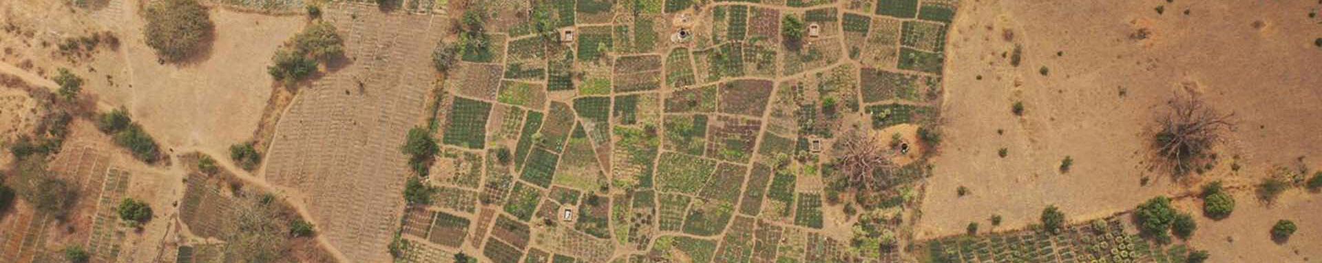 CIF Action Jardin Maraicher Decentralized forest and woodland management project, Burkina Faso 2020