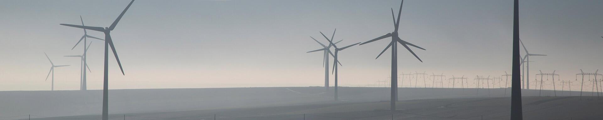 Private Sector Wind Development