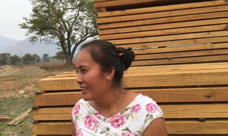 From Policy to Practice: Translating Gender Goals into Forest Action in Mexico
