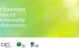 A Joint Statement by the Secretariats of the AF, CIF, GEF, GCF on Enhanced Complementarity and Collaboration