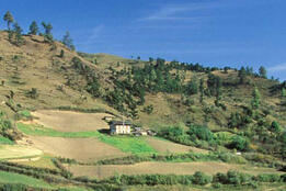 World Bank Photo Collection Landscape of terrace fields and homes Terrace fields. Bhutan. Photo: Curt Carnemark / World Bank