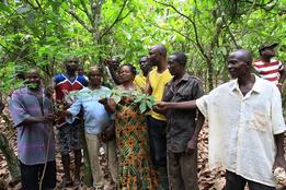 Ghana wins US $24 million to restore and expand sustainable forests through innovative public-private partnership