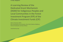 A Learning Review of the Dedicated Grant Mechanism (DGM) for Indigenous Peoples and Local Communities in the Forest Investment Program (FIP) of the Climate Investment Funds (CIF)