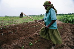 CIF Nature Series: Why women are central to nature-based solutions