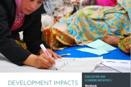 Development Impacts of Climate Finance: A Workbook