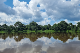 Measuring the Impact of the Forest Investment Program in Congo