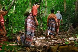 Levelling-up gender in locally-led climate finance – the case for the Dedicated Grant Mechanism and inclusivity in forest governance