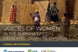 Voices of Women: In The Burkina Faso Dedicated Grant Mechanism Evidence and Experiences
