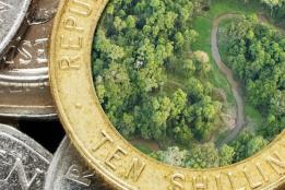 TRANSFORMATIONAL CLIMATE FINANCE: KENYA’S COUNTY CLIMATE CHANGE FUNDS