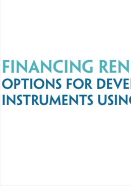 Financing Renewable Energy: Options for Developing Financing Instruments Using Public Funds