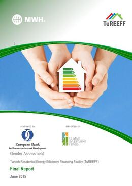 Gender Assessment for Energy Efficiency - Türkiye