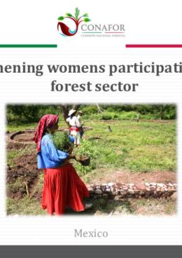 Strengthening Women's Participation in the Forest Sector