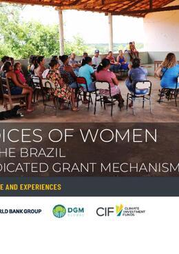 Voices Of Women in the Brazil Dedicated Grant Mechanism