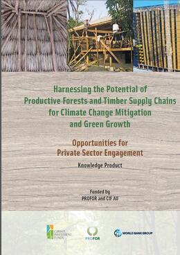 Harnessing the Potential of Productive Forests and Timber Supply Chains
