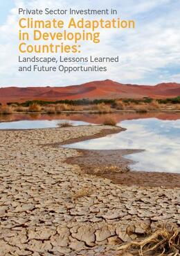 Private Sector Investment in Climate Adaptation in Developing Countries