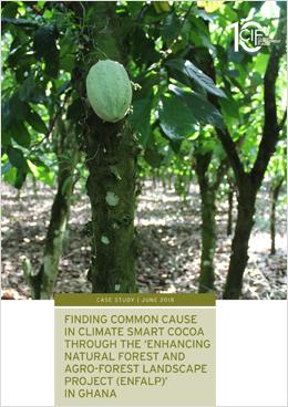 Finding Common Cause in Climate Smart Cocoa through the ‘Enhancing Natural Forest and Agro-Forest Landscape Project (ENFALP)’ In Ghana