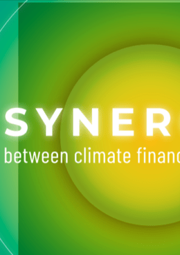Synergies between Climate Finance Mechanisms
