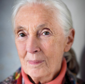 Dr. Jane Goodall, DBE 