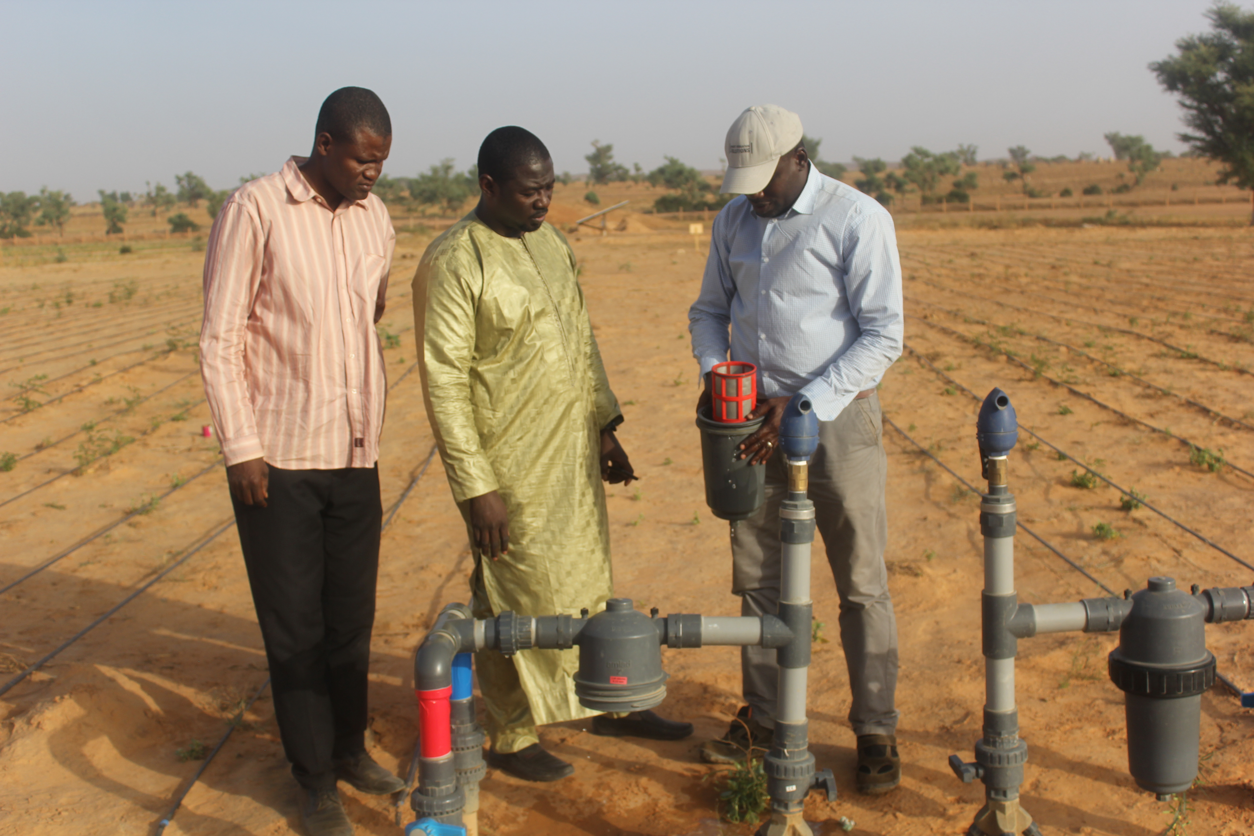 Thumbnail image of Niger – Irrigation system