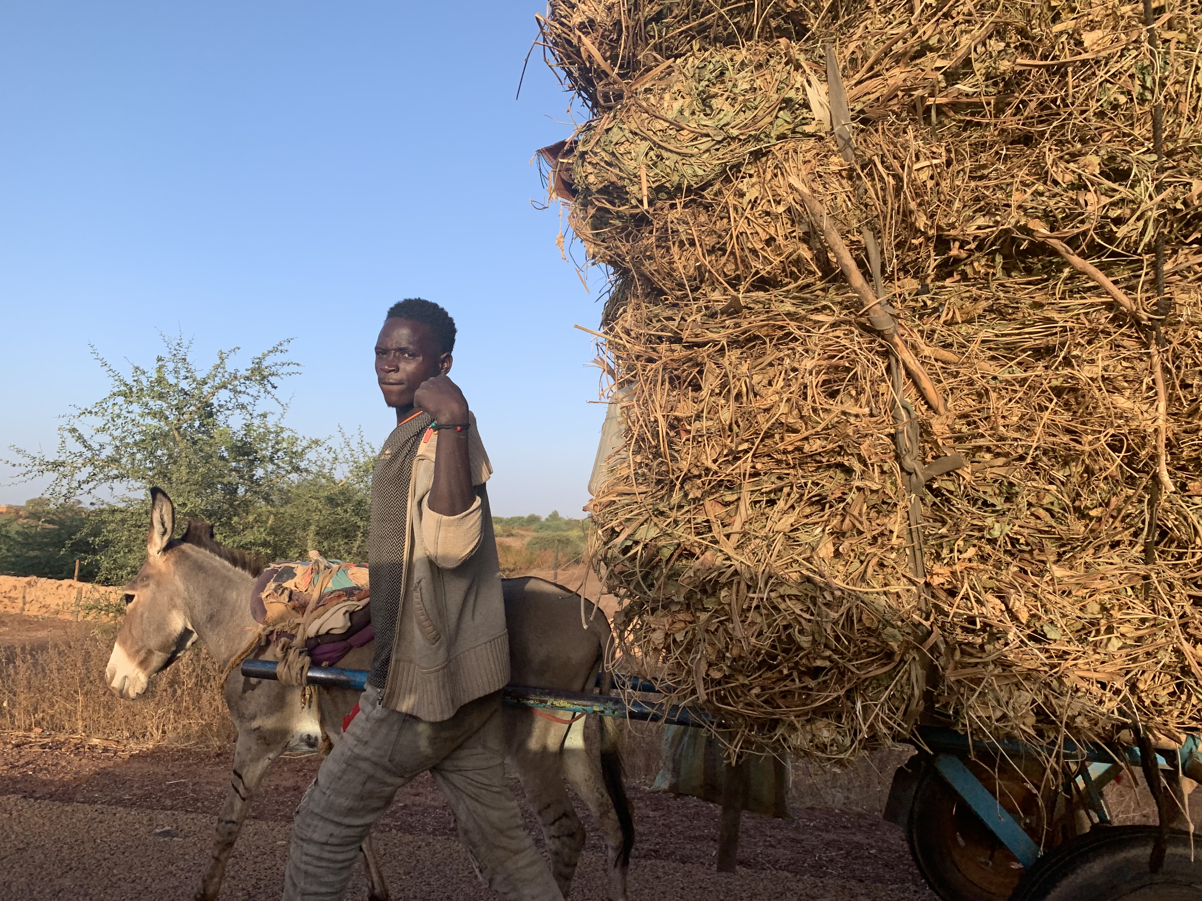 Thumbnail image of Niger – Rural road