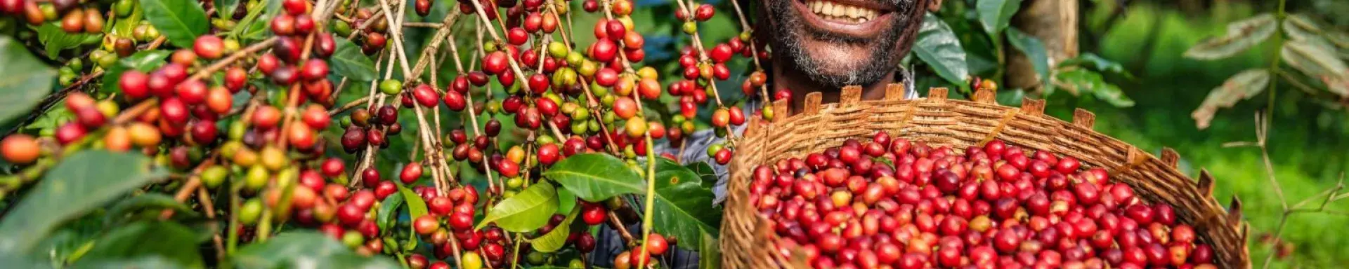 Farmer in Ethiopia