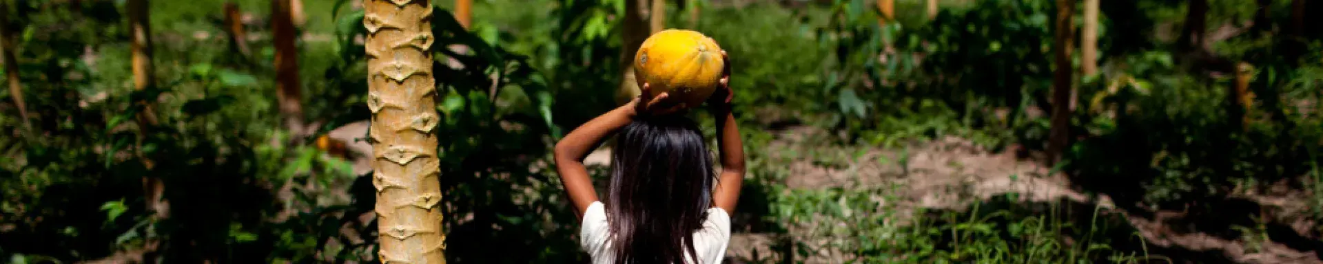 A young Peruvian girl carrying fruit in the forest