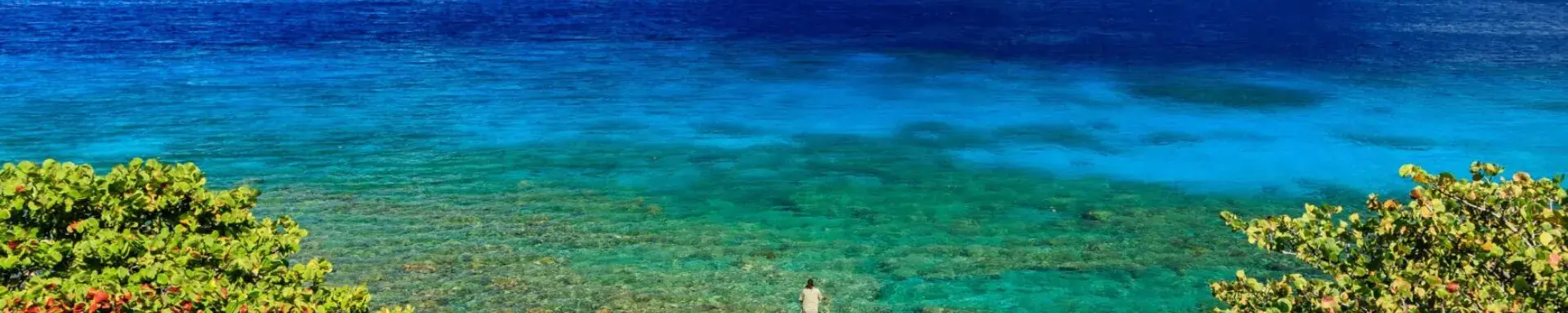 Picture of World Oceans Day: how one island state is gearing up to be a climate world-first 