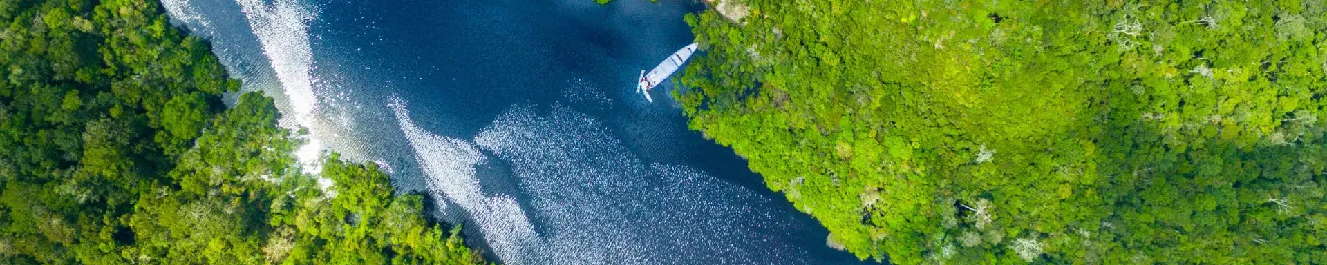 Picture of Amazon from above