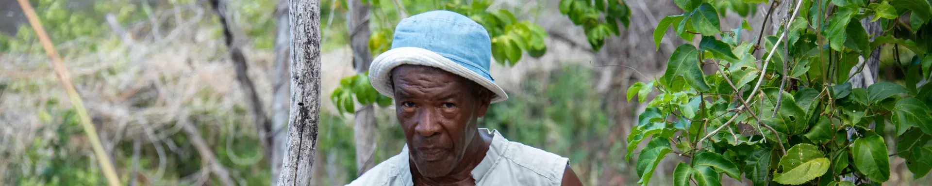 CIF - A man with fresh fruits in Dominica