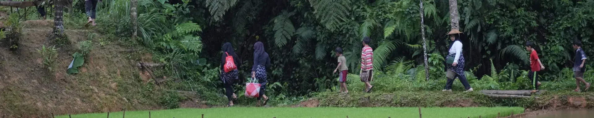 Forest communities in Indonesia 