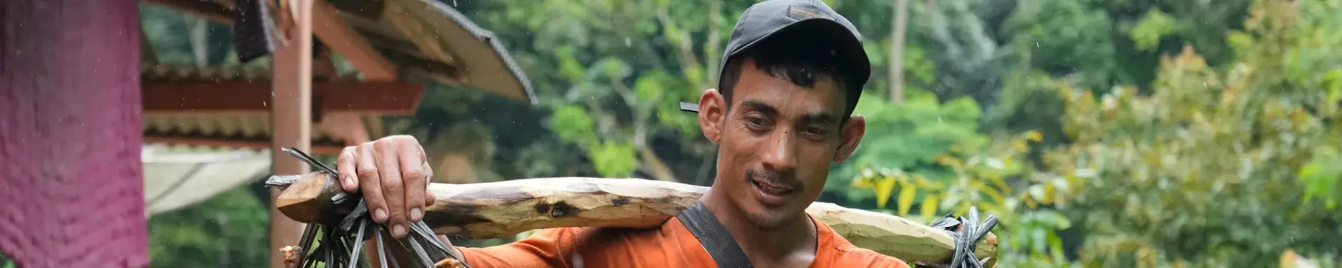 man carries fruit in Indonesian forest