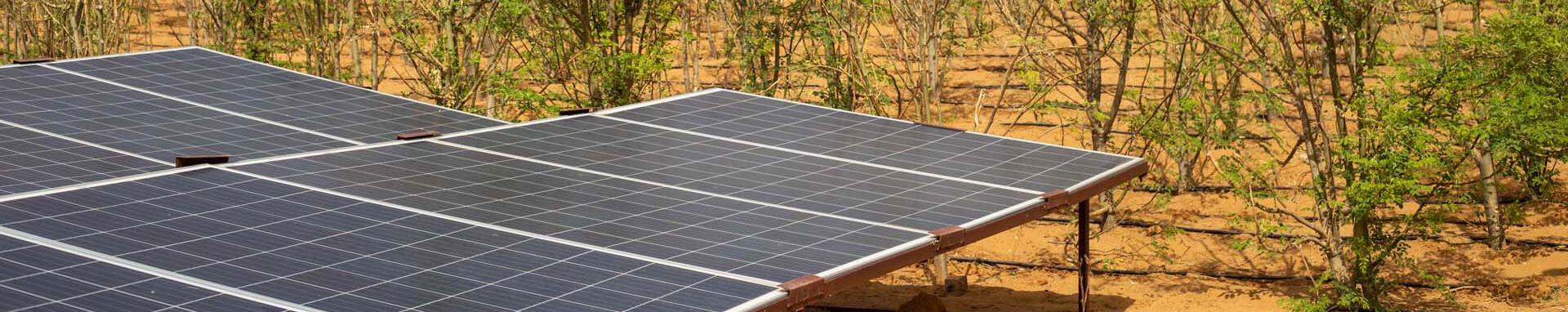 CIF Action Solar panels in the semi-arid Sahel Region, Niger.