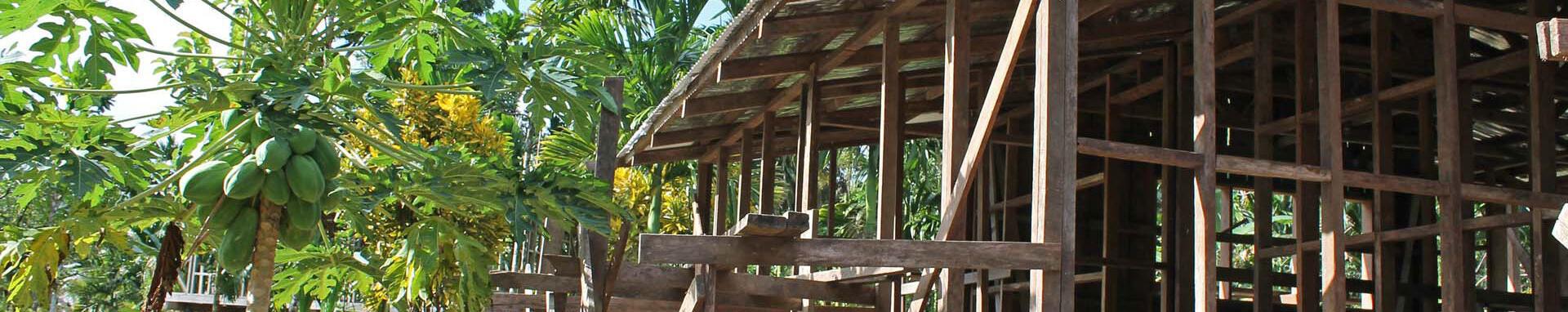 World Bank Photo Collection House construction, Solomon Islands. . Aleta Moriarty / World Bank Photo ID: AM-PI003