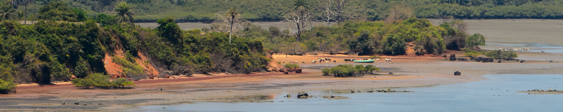 Guinea Bissau coast