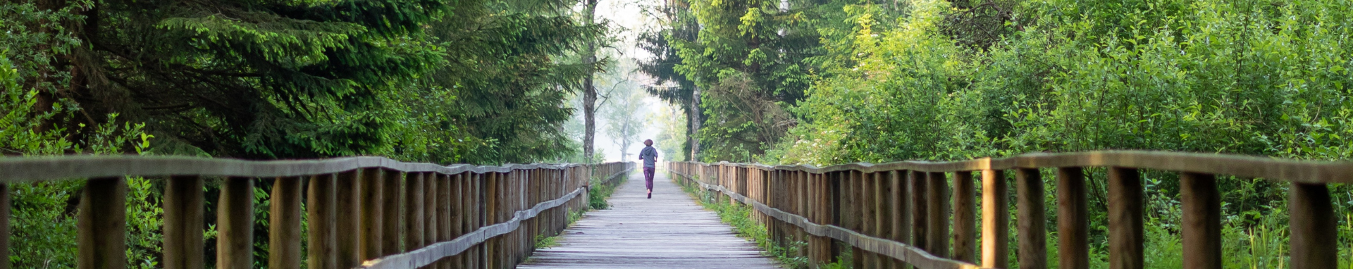 person running on bridge surrounded by trees