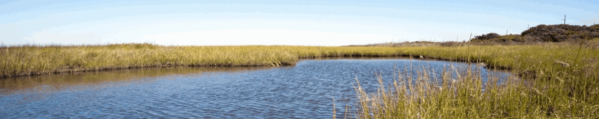 Revive and Restore – World Wetlands Day 2023