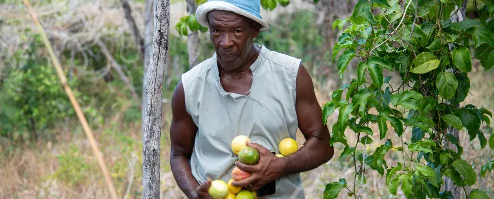 CIF - A man with fresh fruits in Dominica