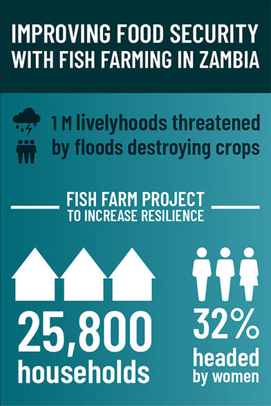 Improving Food Security With Fish Farming In Zambia