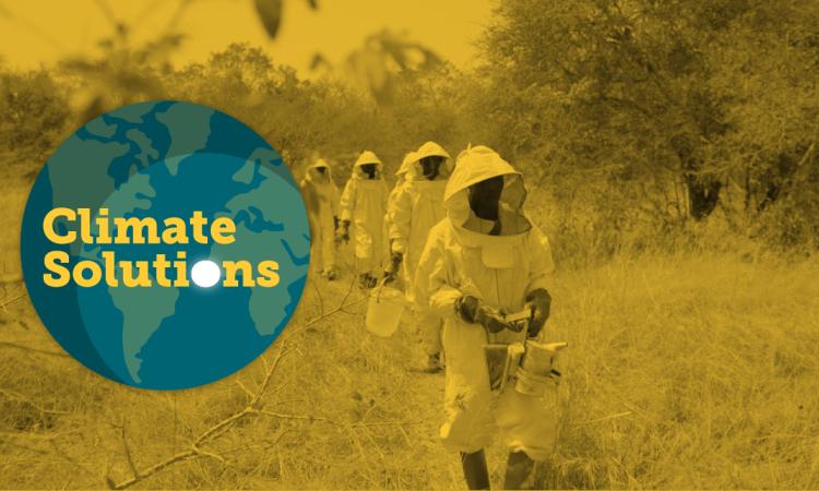 Climate Solutions Episode 4: Fueling Hopes for Burkina Faso’s Sustainable Development
