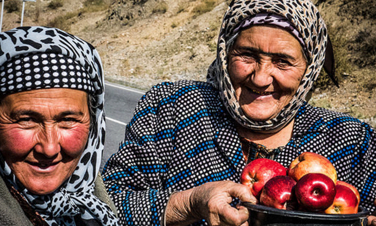 Apples, adaptation and agriculture - The CIF in Tajikistan