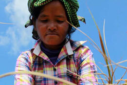 World Bank Photo Collection A Cambodian farmer Photo: Chor Sokunthea / World Bank