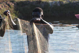 CIF Action Aquaculture project in Barotse, Zambia.