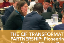 The CIF Transformational Change Learning Partnership: Pioneering Joint Learning to Catalyze Low-Carbon; Climate-Resilient Development
