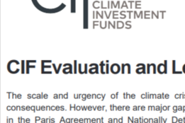 Overview of CIF Evaluation and Learning Initiative