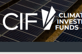 Summary | From Carbon to Competition