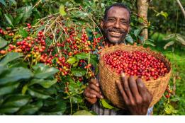 Farmer in Ethiopia