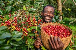 Farmer in Ethiopia