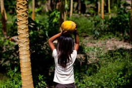 A young Peruvian girl carrying fruit in the forest