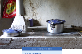 Promoting sustainable business models for clean cookstoves dissemination in Honduras